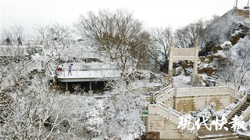 雪落|雪落紫金山，许你一个冰雪世界