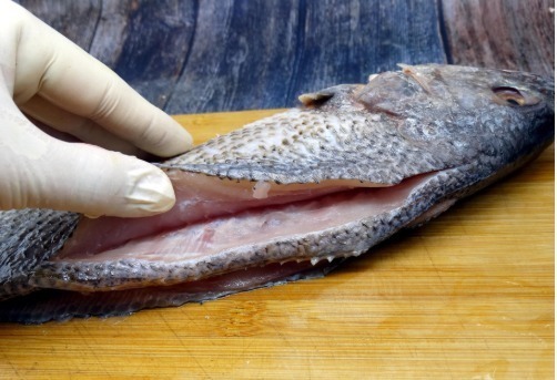 葱段|清蒸鱼时,有人放盐,有人放生抽,厨师长:都不放!教你正确做法