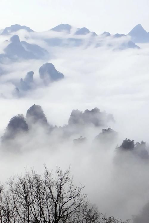 一场春雨，将张家界武陵源泼成了一幅幅山水画