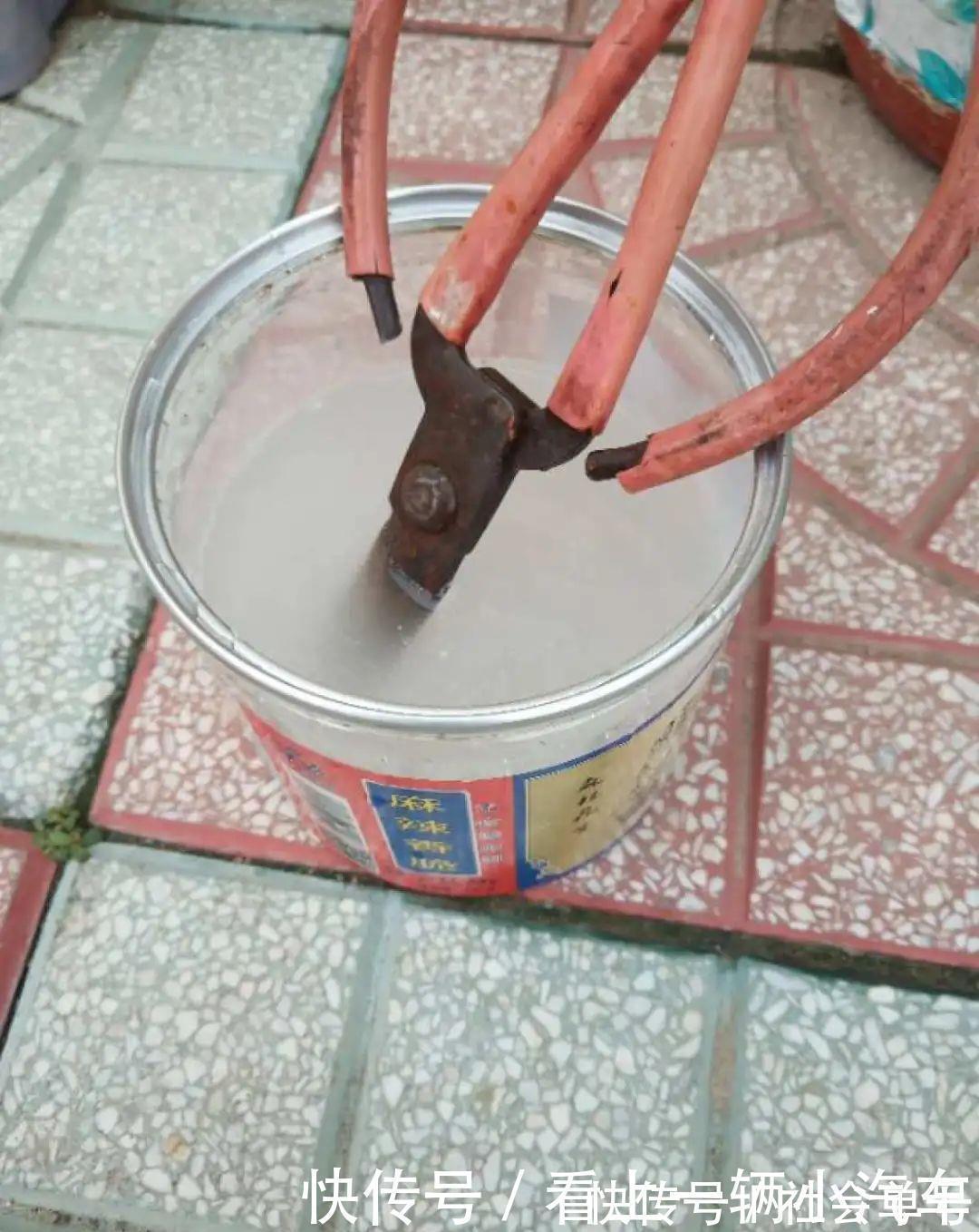 养花|养花技巧:花盆里出现这个,抓紧换盆,不然一浇水就死翘翘