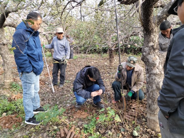 工作人员|这里新发现400余座祭祀坑！