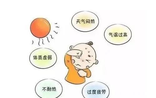 高温|“三伏天”高温防暑，这几类人群需重点注意，特别是小宝宝!