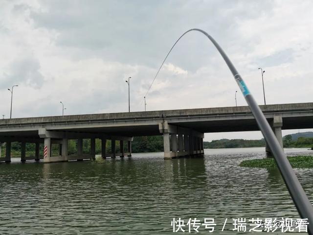 鱼钩|钓鱼时总是挂到鱼鳞?只需简单调整,就能轻松把鱼钓上岸