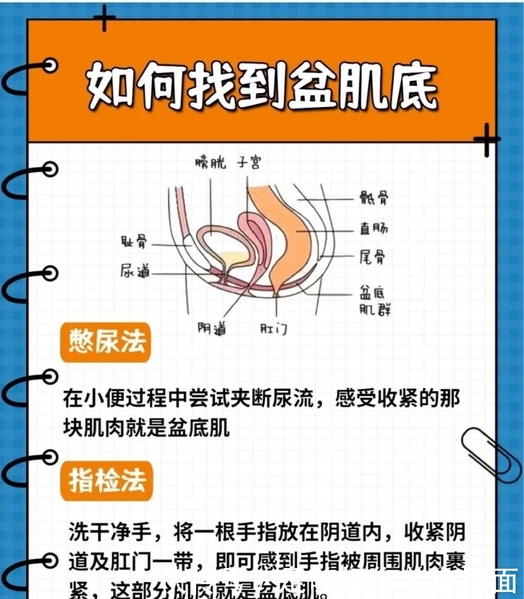 凯格尔|产后恢复｜凯格尔运动｜盆骨运动｜盆底肌修复