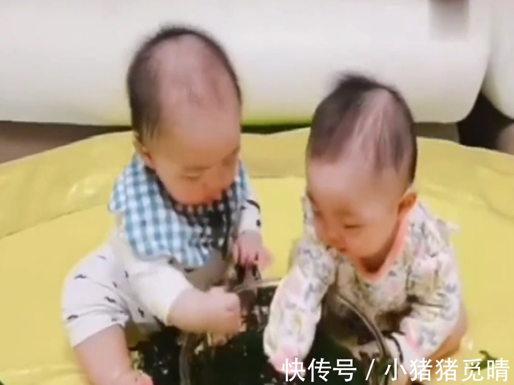 双胞胎|双胞胎坐在盆前吃海带,画面让人无法直视,有强迫症的看不了