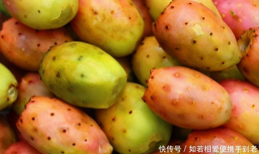 冬天来了，不妨多吃此食物，补充钙质，提高免