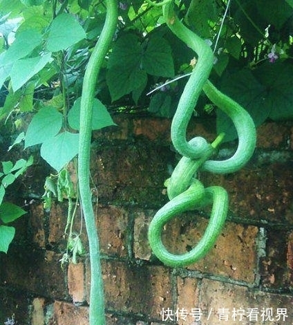 |幽默笑话:和女朋友去火锅店吃火锅,她指着菜单说……