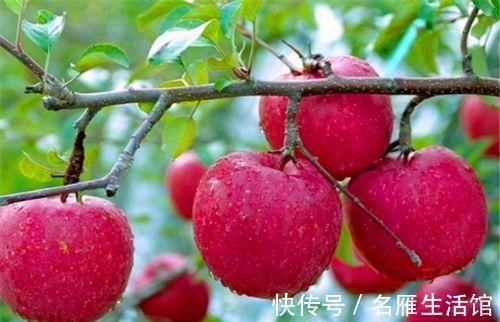 活血补气|会吃的人更健康,坚持常吃4种食物,活血补气,排毒美容