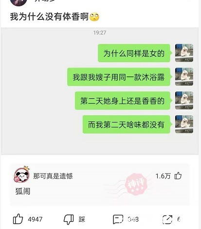 |搞笑神评：相亲遇到这样的女孩，幸福来得太突然了