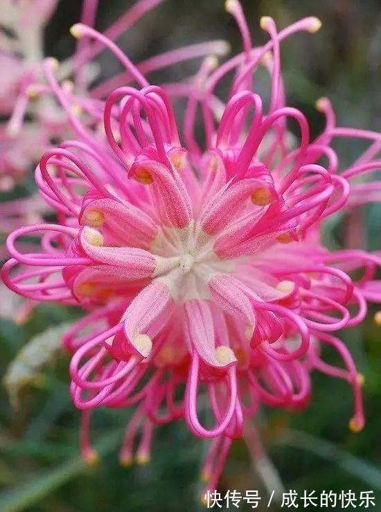 |幽默与笑话10则哲学家的愚蠢等