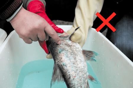  宝姐|这4种珠宝个个有毒、害人不浅？最可怕的是，你可能每天都在戴...