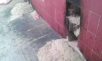 养花栽种前，混合土加点“粉末”，不生虫、长得旺，养啥都能用