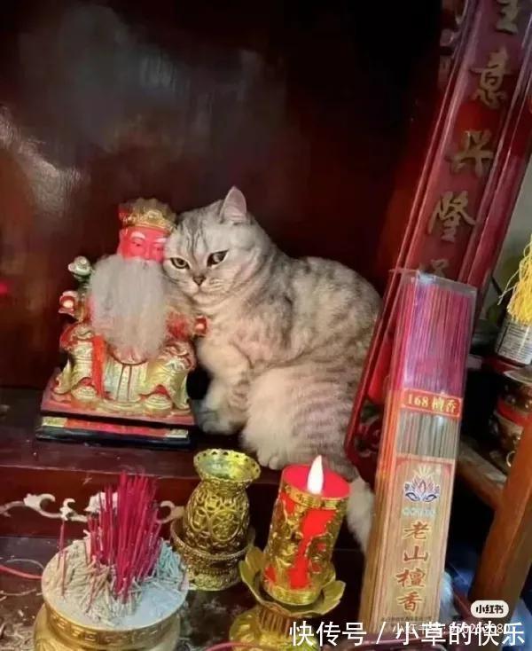 |搞笑时刻:第一天进宿舍,怎么能让别人怕我?