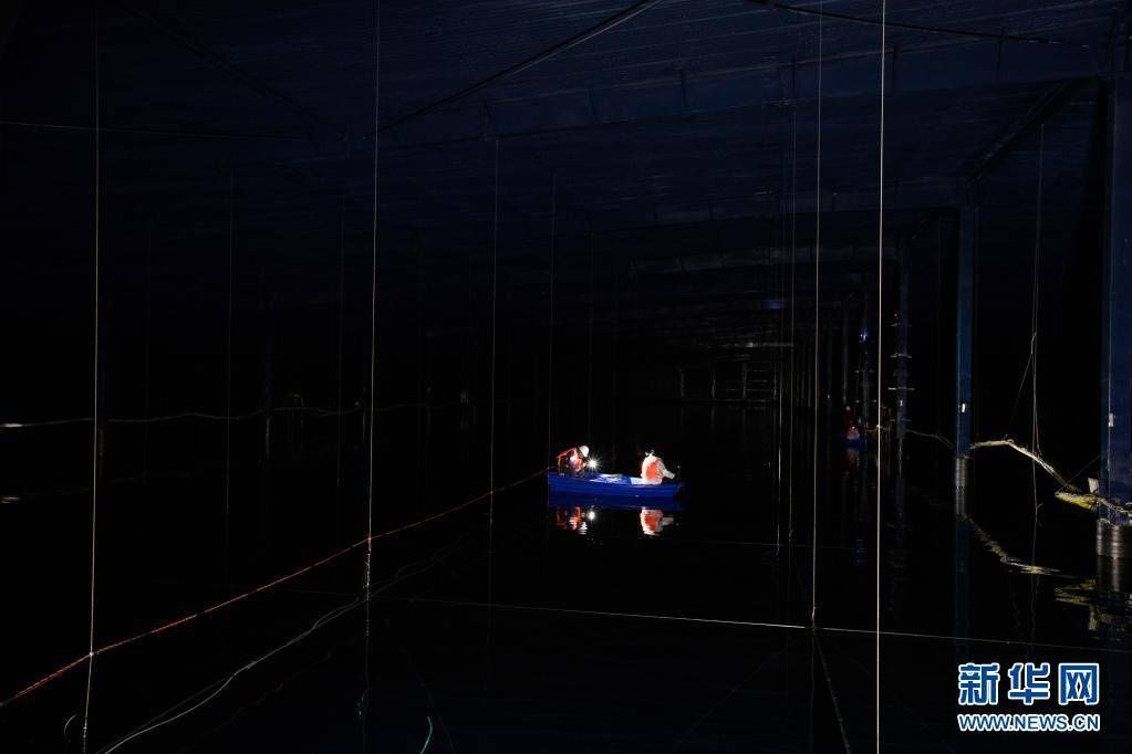 光子 新华全媒+丨1400万亿电子伏特 我国科学家观测到迄今最高能量光子