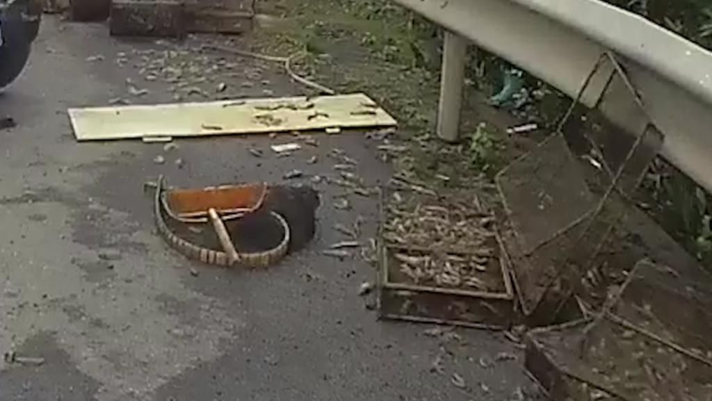 司机|300斤虾“横尸”高速，竟是因为这个司机…