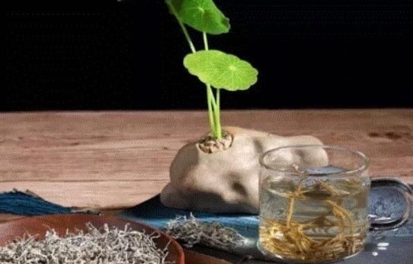 黄酮素|晚上失眠总是睡不好，此3种“安神茶”喝下去，一觉睡到天亮