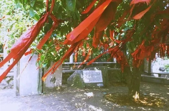 我们用红色征服了全世界!