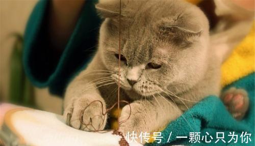 |幽默笑话：今天电梯出来点问题，自动门开关两次才可以关上