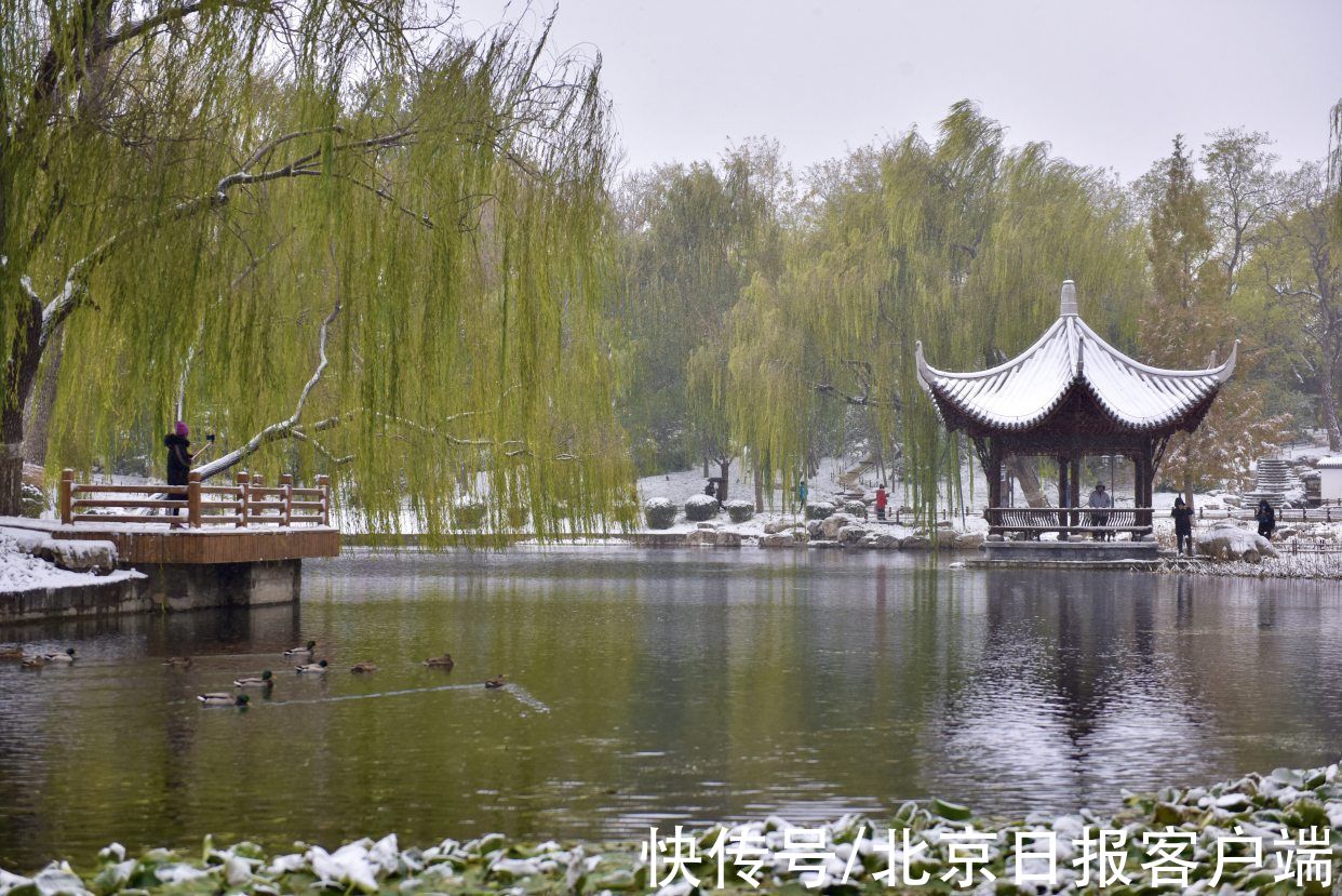 美景|立冬恰逢初雪，北京号带您“云”赏雪后美景