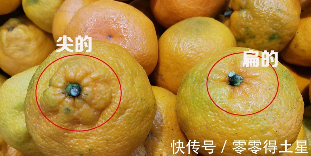 果蒂|买丑橘,“尖的”和“扁的”区别很大,记住3点,挑到好吃的丑橘!