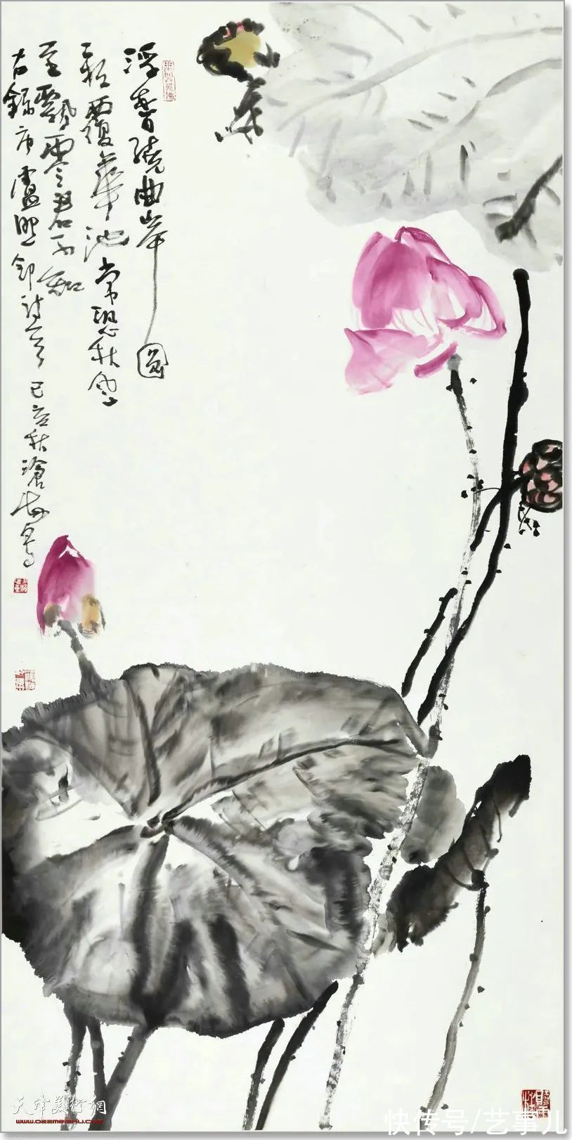 库尔勒!尹沧海教授荷花水禽作品欣赏:笔意简率自由 一派天趣自成