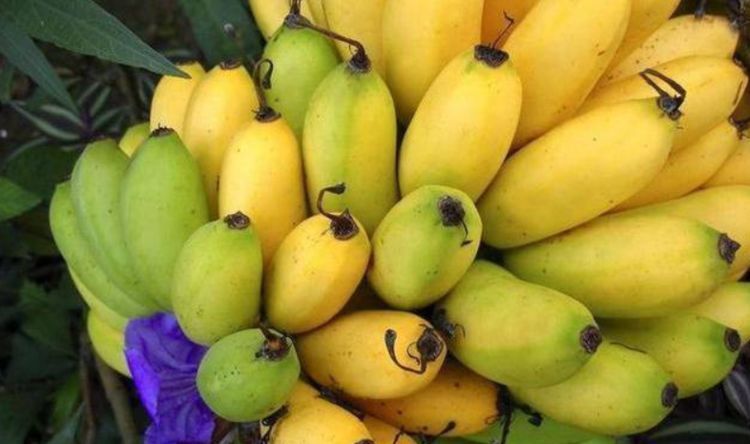 排毒养颜|女性想要皮肤好 ,4种食物离不开,排毒养颜,滋润肌肤