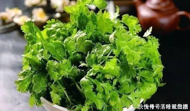 胡荽|号称“最古老调味料”,拔起来就能吃,有人顿顿吃,有人闻了想吐