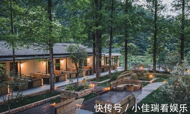 乡村路|“中国最美乡村路”又添一景，距4000年银杏仅3公里