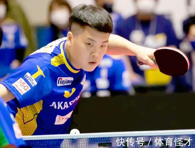 东京队|打疯了!38岁国乒老将吊打日本全国冠军,3-0轻松横扫击败对手