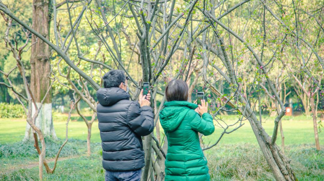 不负春光不负美，骑行、赏花约起来！（一大波美图来袭）