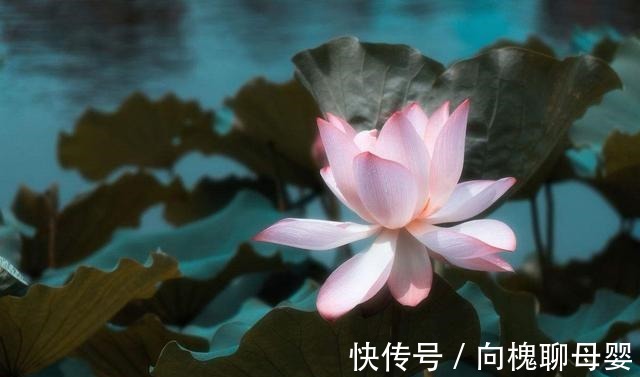 道信禅师!禅宗四祖寻访得道高僧, 发现出家人都是又都不是