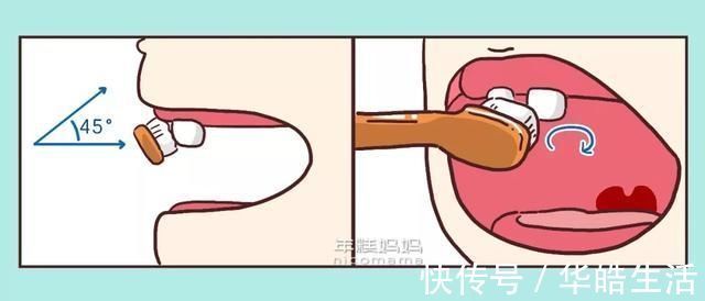 宝宝|电动牙刷伤牙龈?儿童牙刷越软越好?答案跟你想得不一样