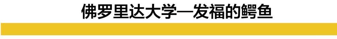 那些美国大学的奇葩吉祥物们，你能认出多少？