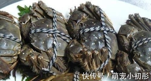 冰箱|吃不完的螃蟹，不要直接放冰箱，大厨教你一招，放7天也不会坏