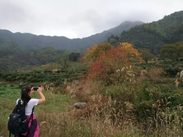 长溪村|婺源赏枫长溪村，石城游记