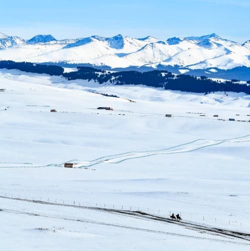 【图说新疆】新疆喀拉峻：茫茫林海雪原 木屋毡房点点