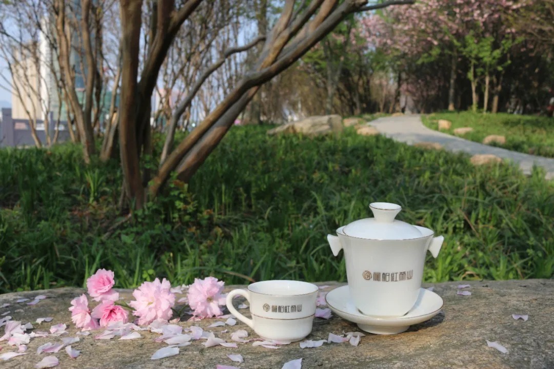 茶类|桐柏红 | 六大茶类科普知识—黑茶