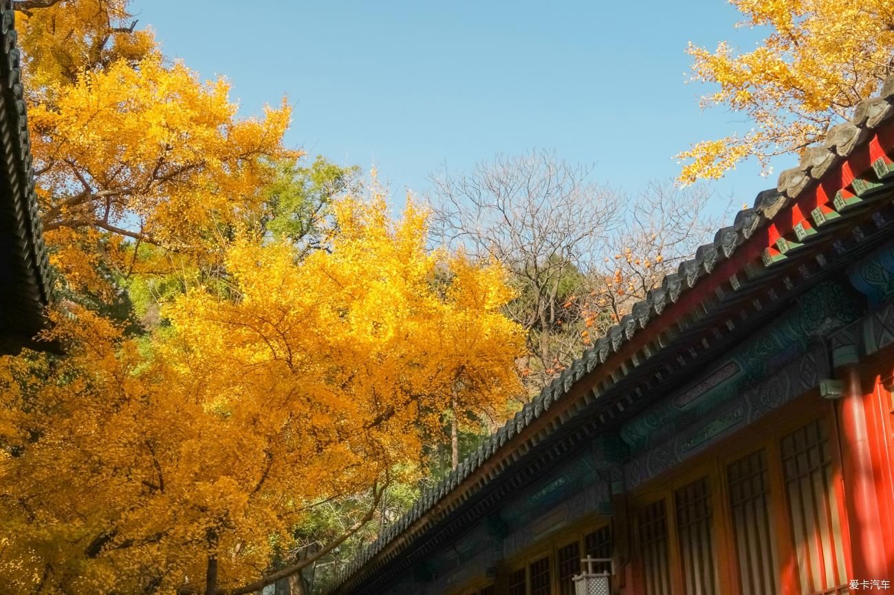  西山|西山大觉寺赏秋正当时