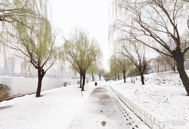 邢台|雪！雪！雪！聊城雪景大片来了，美翻天……