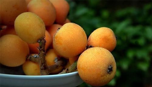 会吃的人更长寿，常吃3种食物，滋补身体，越活越年轻！