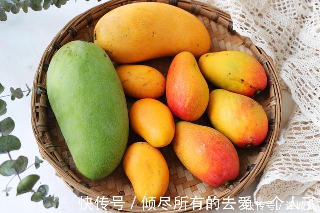 大台农|芒果大“比拼”,贵妃芒、金煌芒、台农芒到底哪个更好吃?