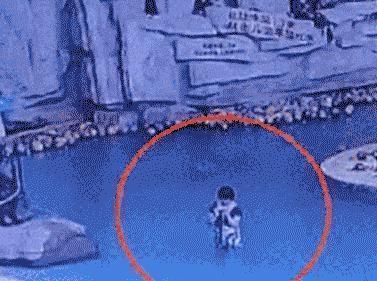 孩子|这爸妈带娃太“放飞自我”了，宝宝：可能我就是买电脑送的