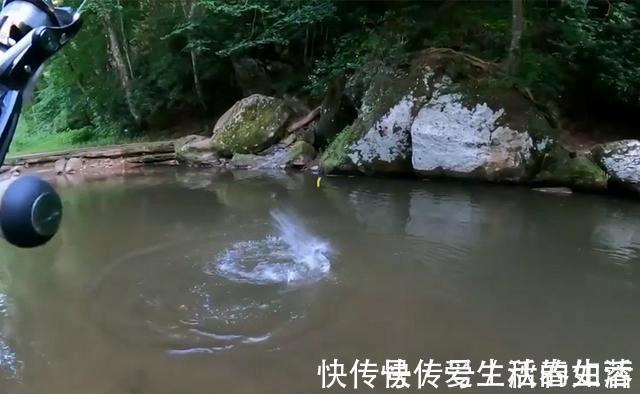 珠珠钓|钓鱼技巧:分享几种“外国进口”的先进钓法,他山之石可以攻玉