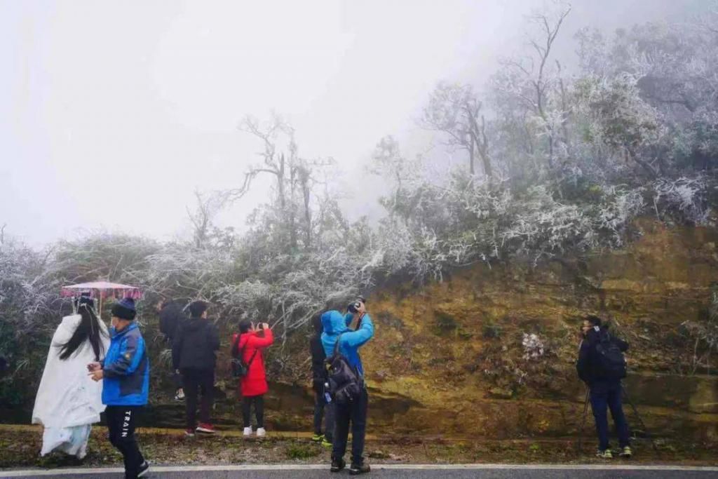 般的|仙境般的大明山来了！