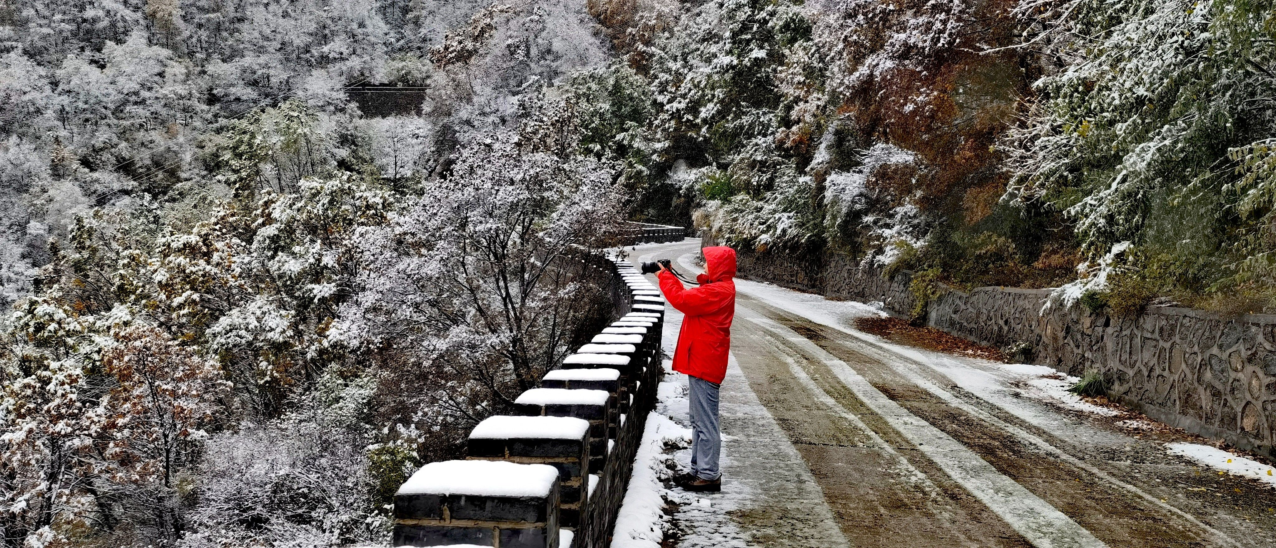 百花山|雪景与云海“同框”！今天的百花山美如仙境