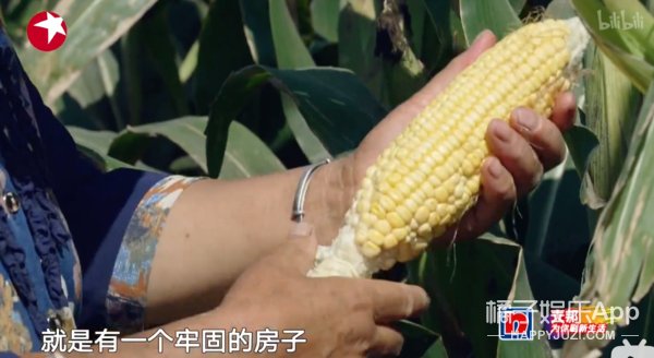 一夜之间，就被全网喊要求退钱？