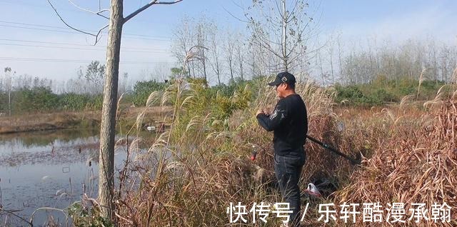 冬季钓鲫鱼,打窝后多久下杆最适合传统钓要注意时间