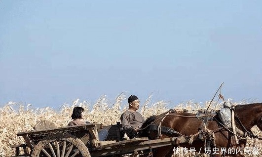 白姓|小说是一个民族的秘史!白鹿原的故事并不遥远!