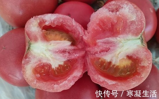 种植户|西红柿打没打激素，种植户教你一招，牢记这“3不买”，一眼看出