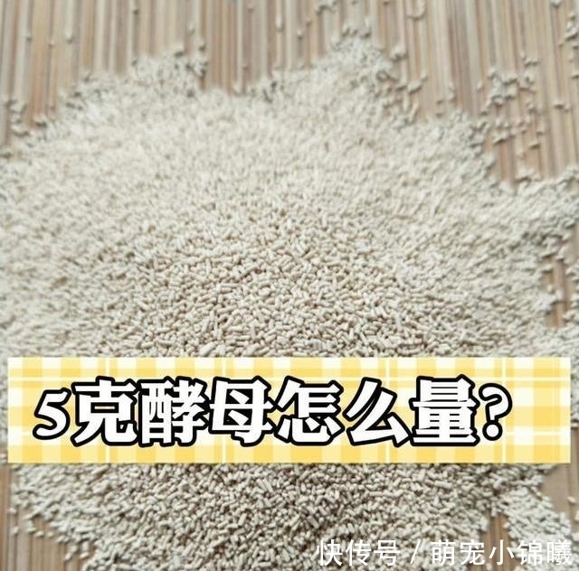 矿泉水瓶|家里没有电子秤，5克酵母怎么量？教你2个小妙招，非常实用